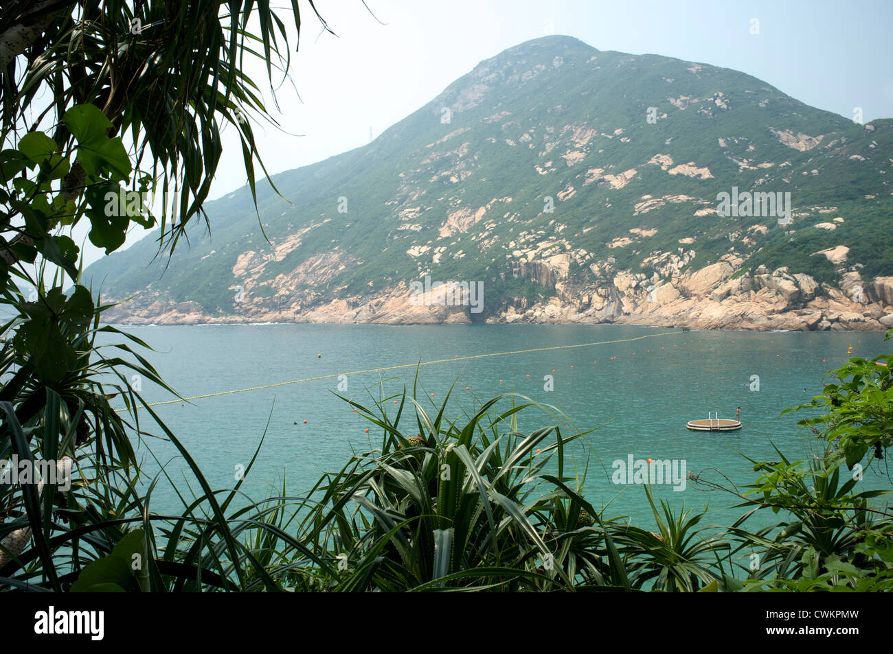 Screwpine (Pandanus) in einem Dorf am Strand Shek O, Hong Kong. 27-Aug-2012 Stockfoto