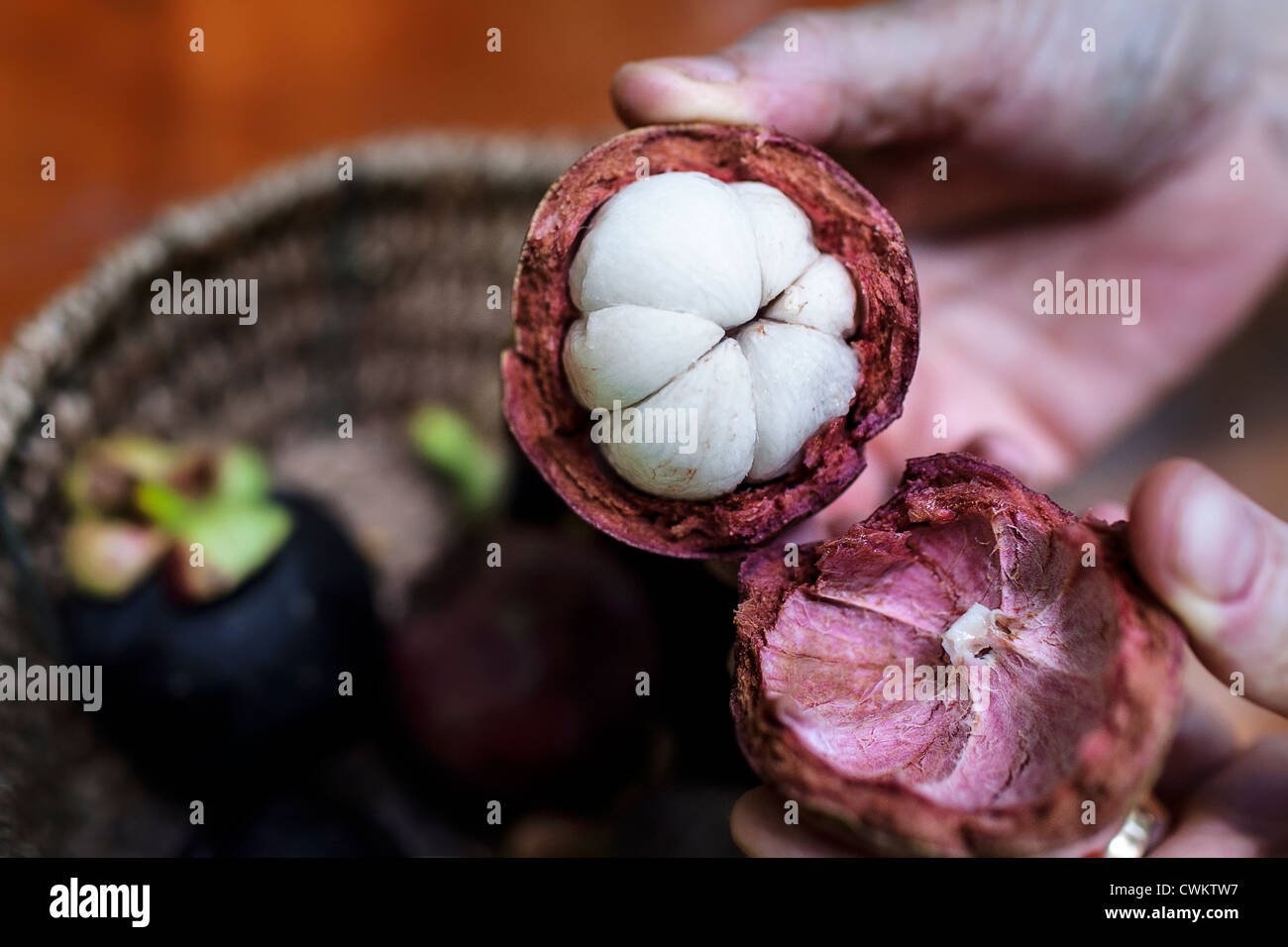 Mangostan (Garcinia Mangostana) Stockfoto