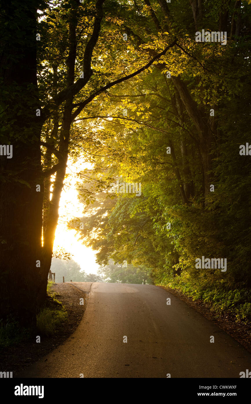 Reisen zum Licht.  Morgenlicht und Nebel auf die Loop Road in Cades Cove geben eine mystische Qualität der Szene. Stockfoto