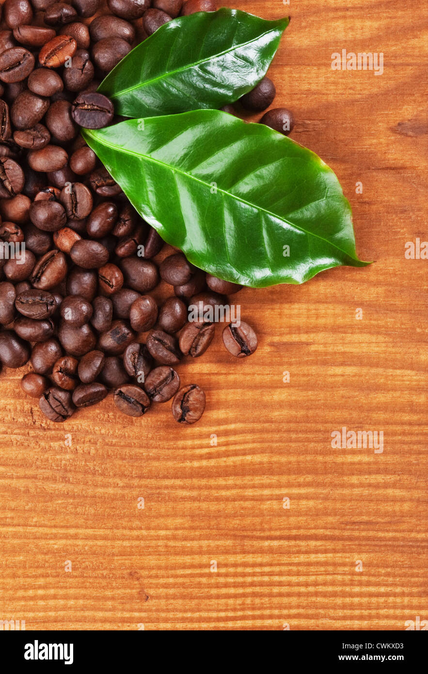 Kaffeebohnen über Holz Hintergrund Stockfoto