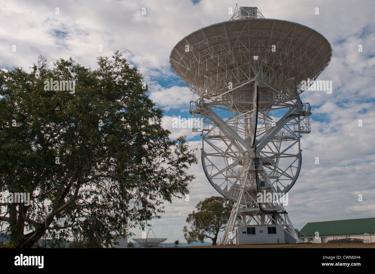 Die University of Tasmania-Radioteleskop in Cambridge in der Nähe von Hobart, Tasmanien, Australien Stockfoto