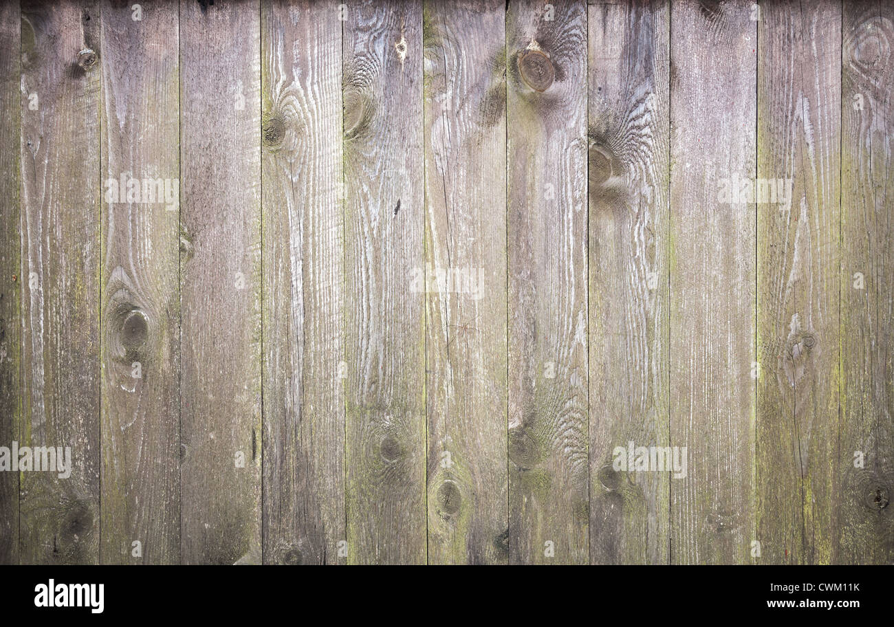 Hintergrundtextur des alten grau verwitterte Holz Futter Bretter Stockfoto