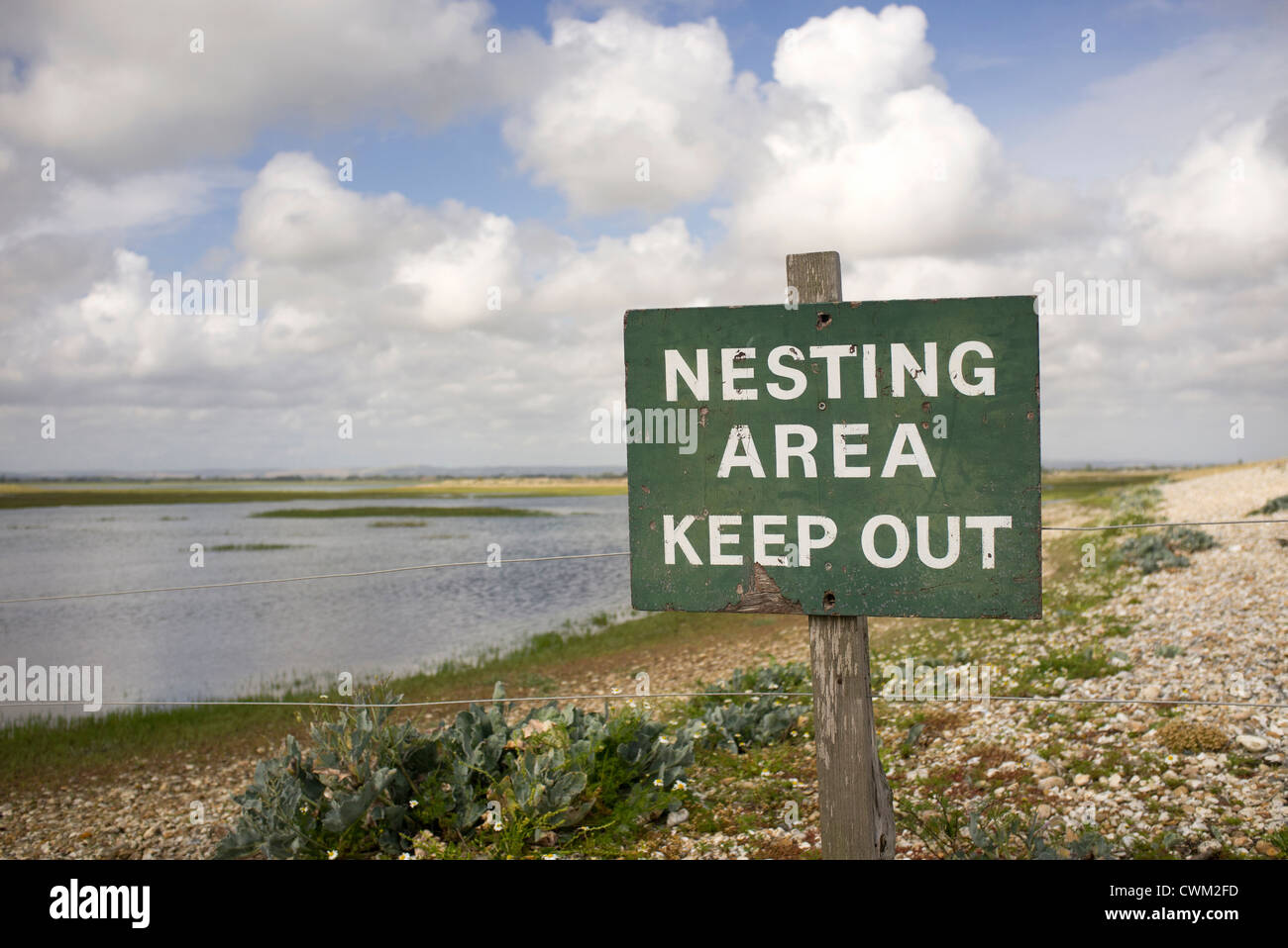 Vogel-Nistplatz im Naturreservat Pagham Hafen Stockfoto