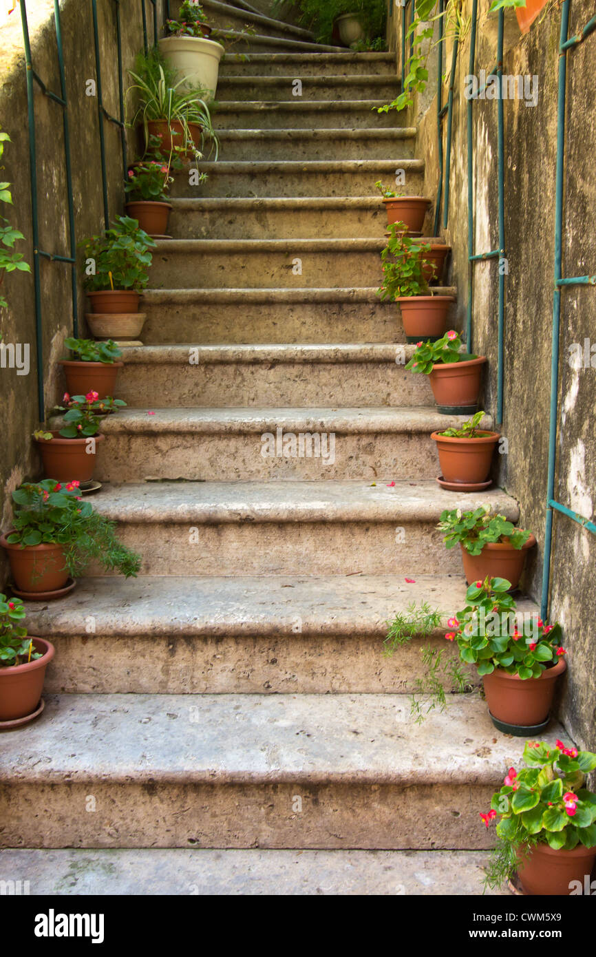 Stein-Treppe mit Pflanzen in einer mittelalterlichen Stadt mit  gepflasterten Wege Stockfotografie - Alamy
