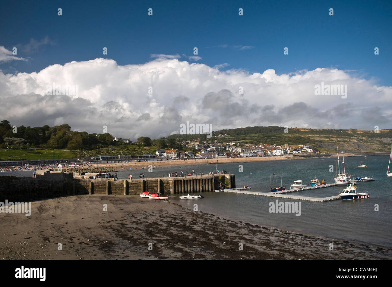 Lyme Regis angesehen von The Cobb, Dorset, Großbritannien Stockfoto