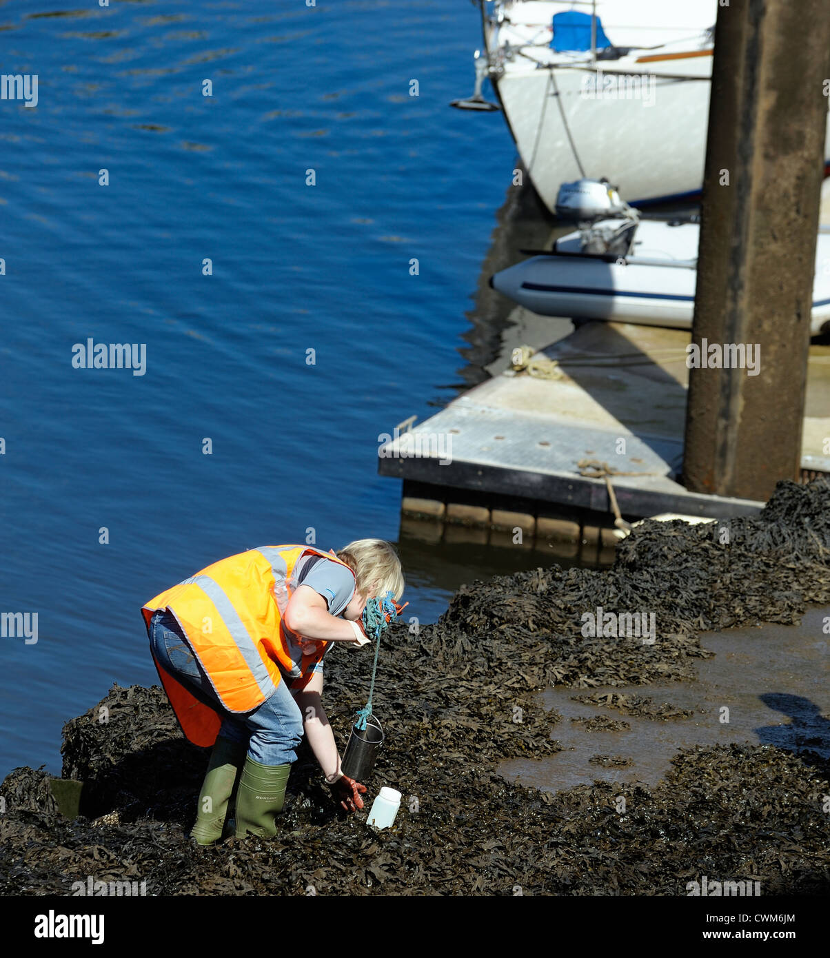 Yorkshire Wasser wissenschaftliche Analyse Whitby England Duk Stockfoto