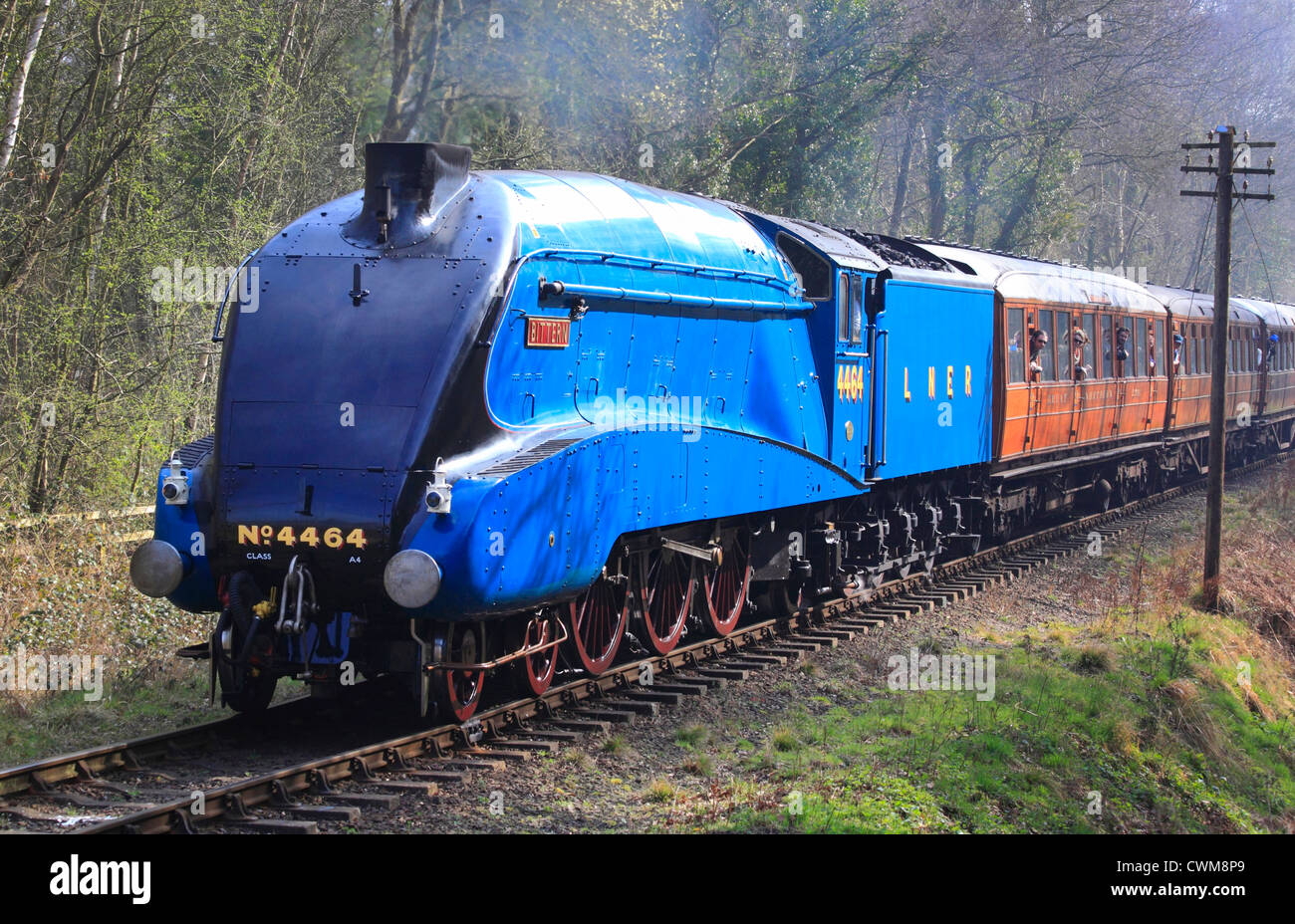 LNER A4 Klasse Nr. 4464 "Rohrdommel" Köpfe in Richtung Hampton Loade auf die Severn Valley Railway, Shropshire, England, Europa Stockfoto