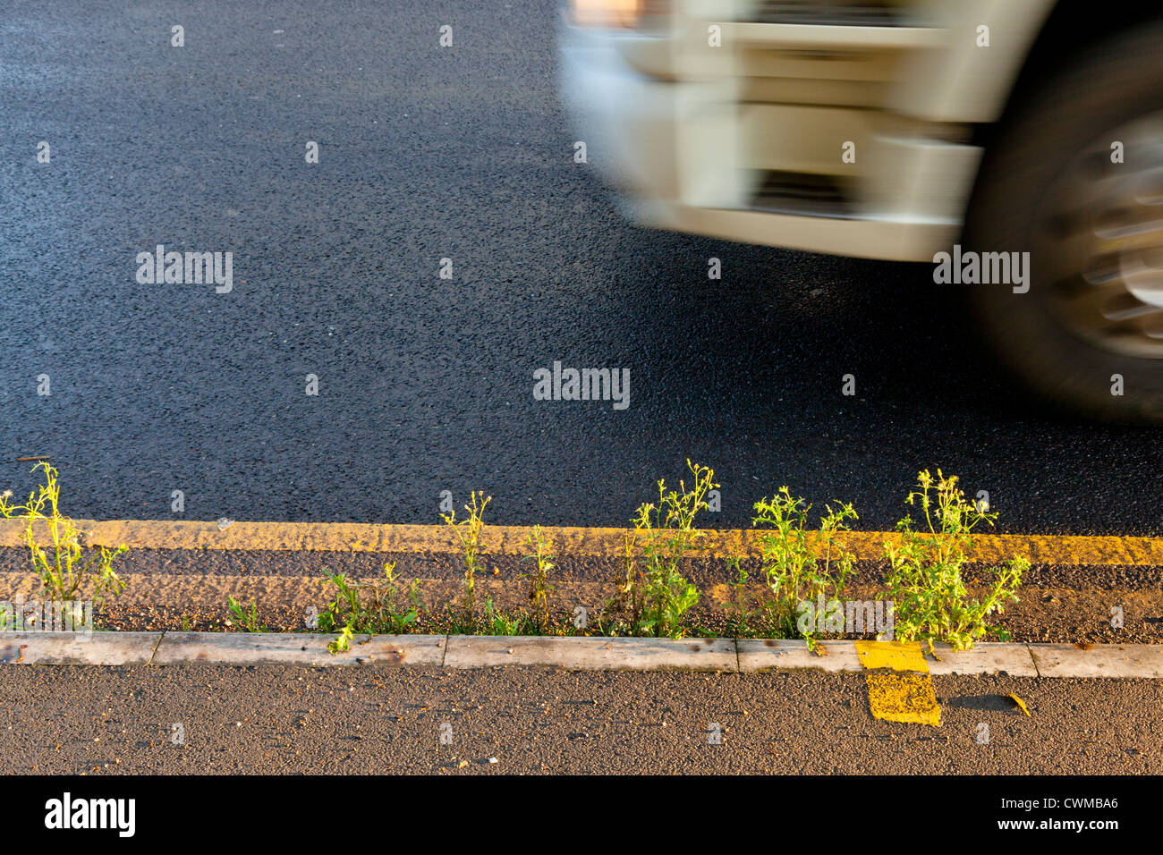 Curbside Unkraut. Fahrzeug auf einer Hauptstraße mit Unkraut wächst durch den Bordstein, England, Großbritannien Stockfoto