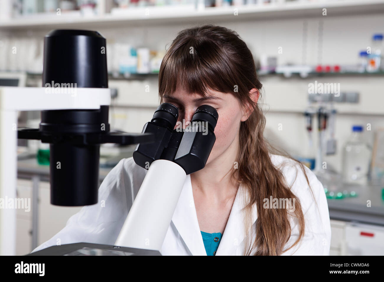 Deutschland, Bayern, München, Wissenschaftler mit Mikroskop im Labor Stockfoto