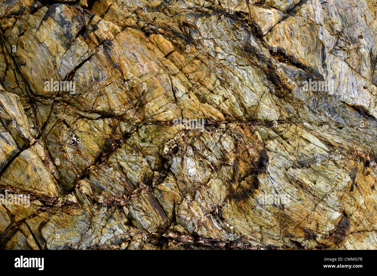 Cornwall - Hintergrundbild der Felsstruktur an der Küste in der Region zwischen Par Sands und Polkerris. Konzept "Fall on stony ground", Fehlergeologie. Stockfoto