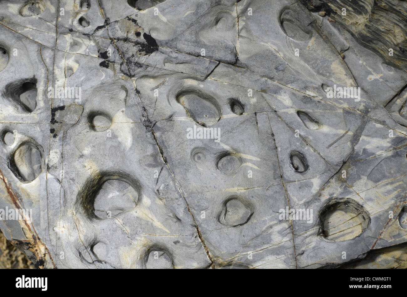 Cornwall - shoreline Stein -Textur Hintergrund in der Region zwischen Par Sands und Polkerris. Konzept 'fallen auf steinigem Boden', Ratschläge ignoriert. Stockfoto