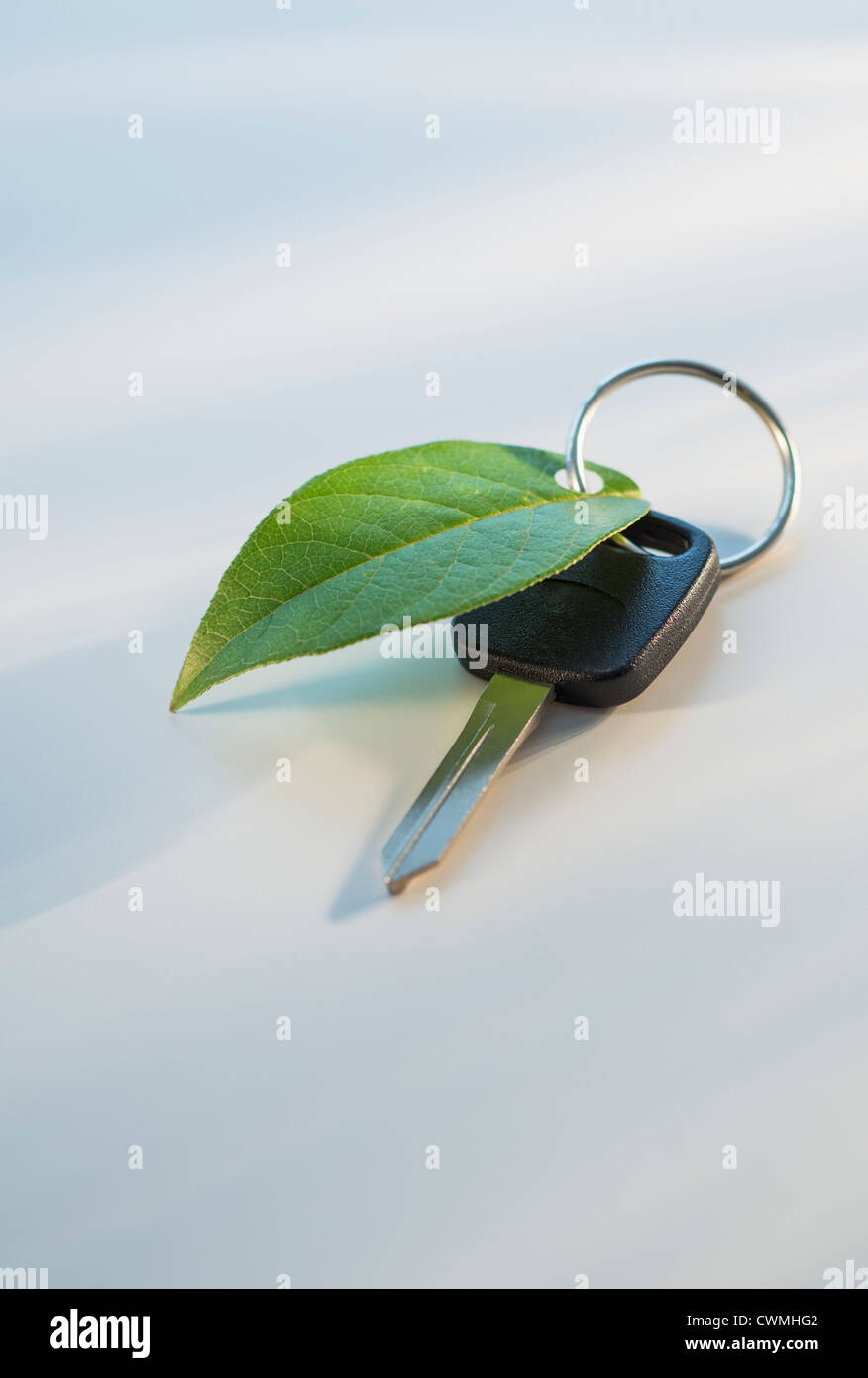 Studioaufnahme des Autoschlüssels mit Ring und grünes Blatt Stockfoto