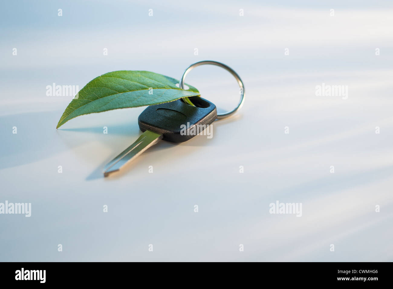 Studioaufnahme des Autoschlüssels mit Ring und grünes Blatt Stockfoto