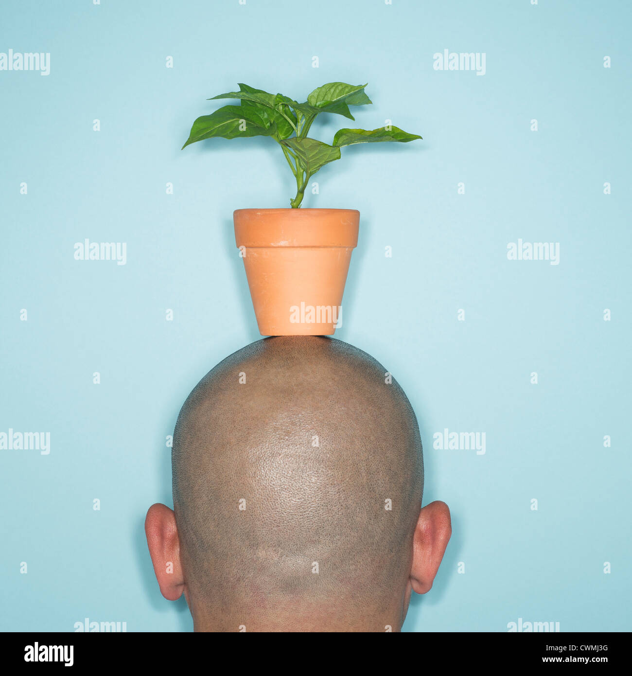 Rückansicht des Mannes mit Topfpflanze auf Kopf Stockfoto