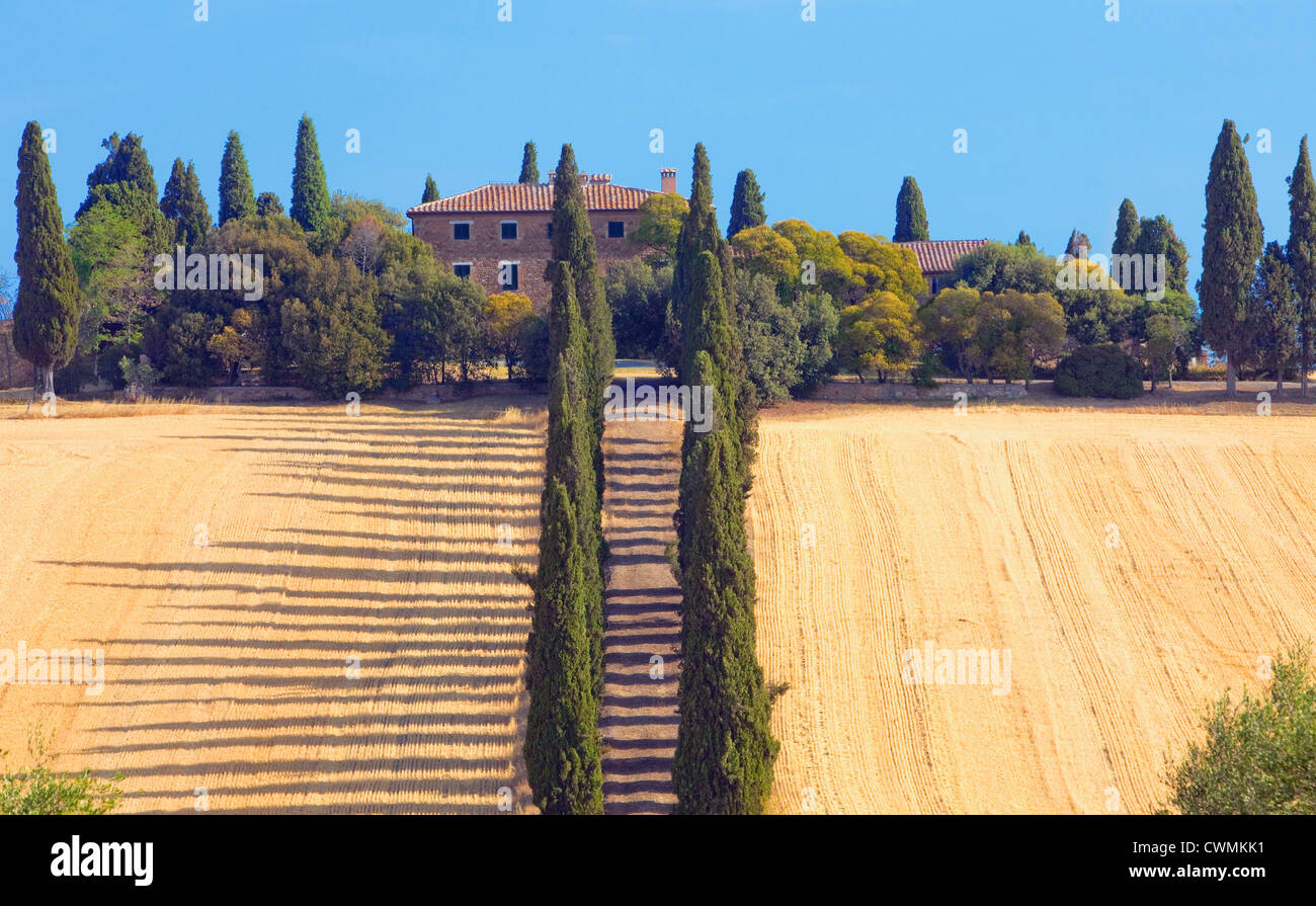 Italien, Toskana - Landhaus mit Zypressen. Stockfoto