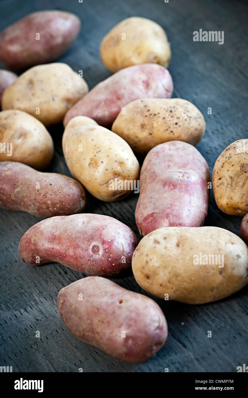 Mehrere frische rote und weiße rohe Kartoffeln Stockfoto