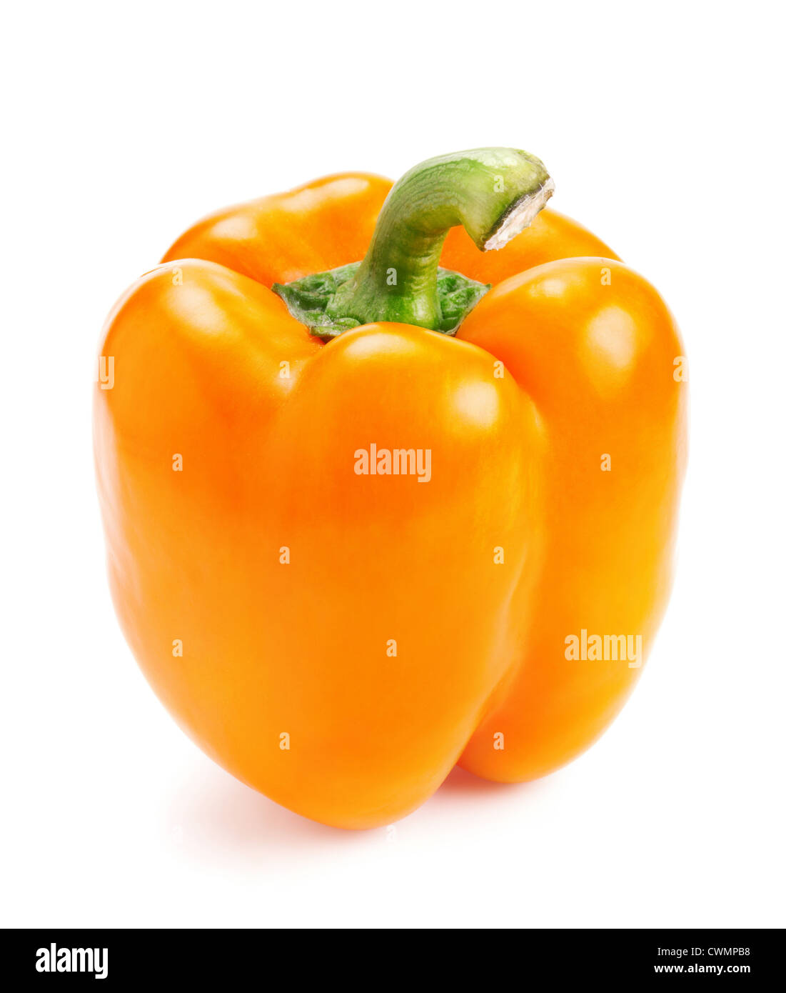 frische Paprika, isoliert auf weißem Hintergrund Stockfoto