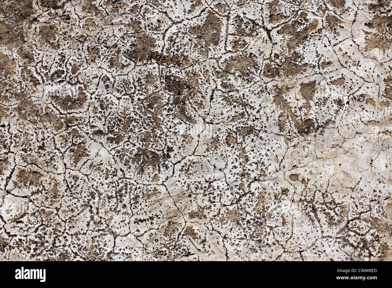 alte und rissige Betonwand Hintergrund Stockfoto