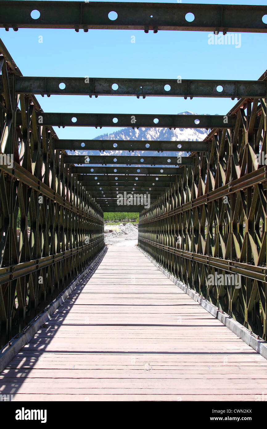 Eiserne Brücke Stockfoto