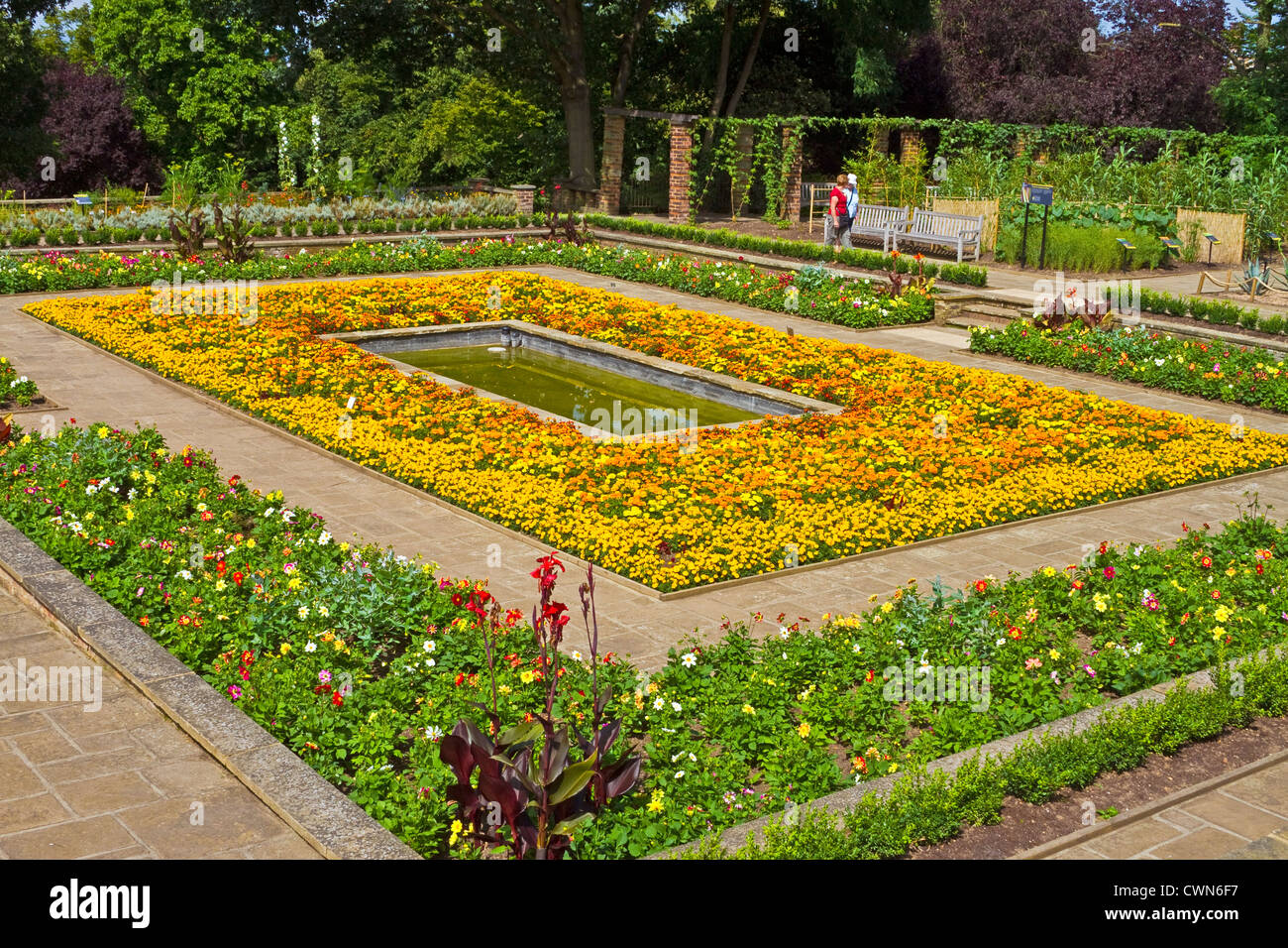 London, Forest Hill die Farbstoff-Garten in Horniman Gärten Stockfoto