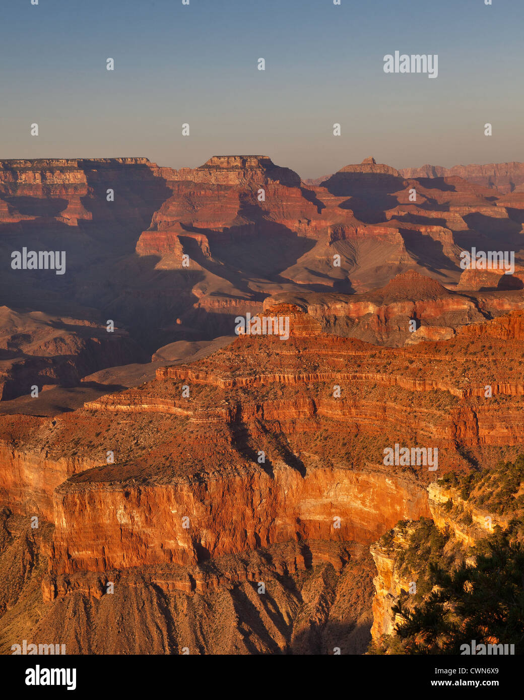 Am Abend Blick vom Südrand des Grand Canyon, Arizona, USA Stockfoto