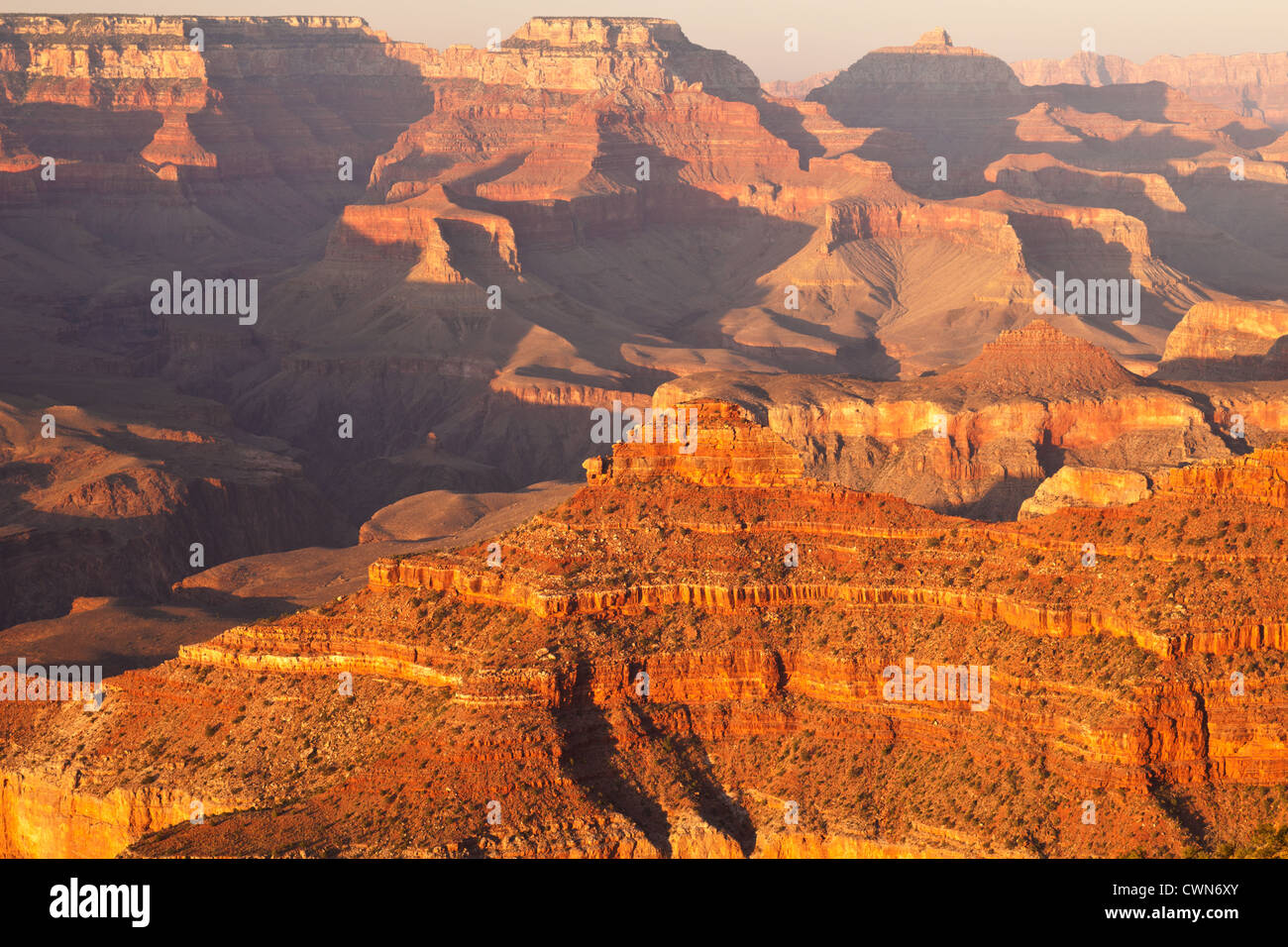 Ein Blick auf den Grand Canyon in Abendsonne vom Südrand. Arizona, USA. Stockfoto