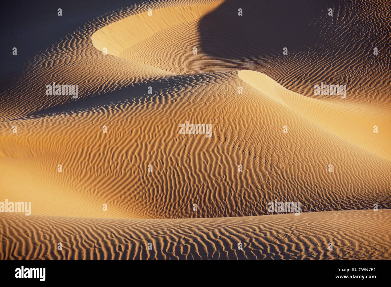 Sahara Wüste Sanddünen Erg Lihoudi, M'hamid, Marokko. Stockfoto