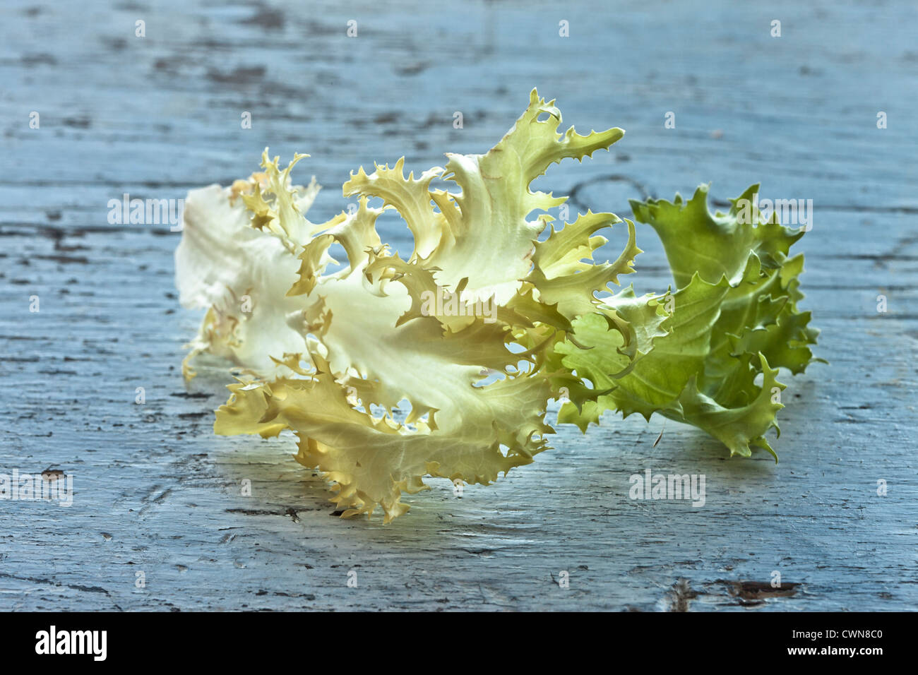 Endivien Salat grünen Gemüse essen, Stockfoto