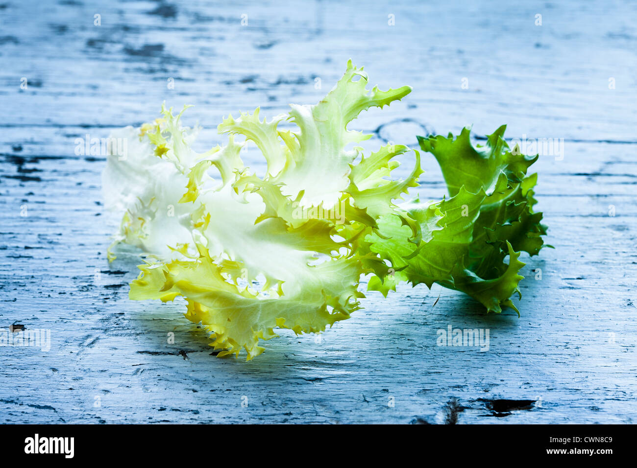 Endivien Salat grünen Gemüse essen, Stockfoto