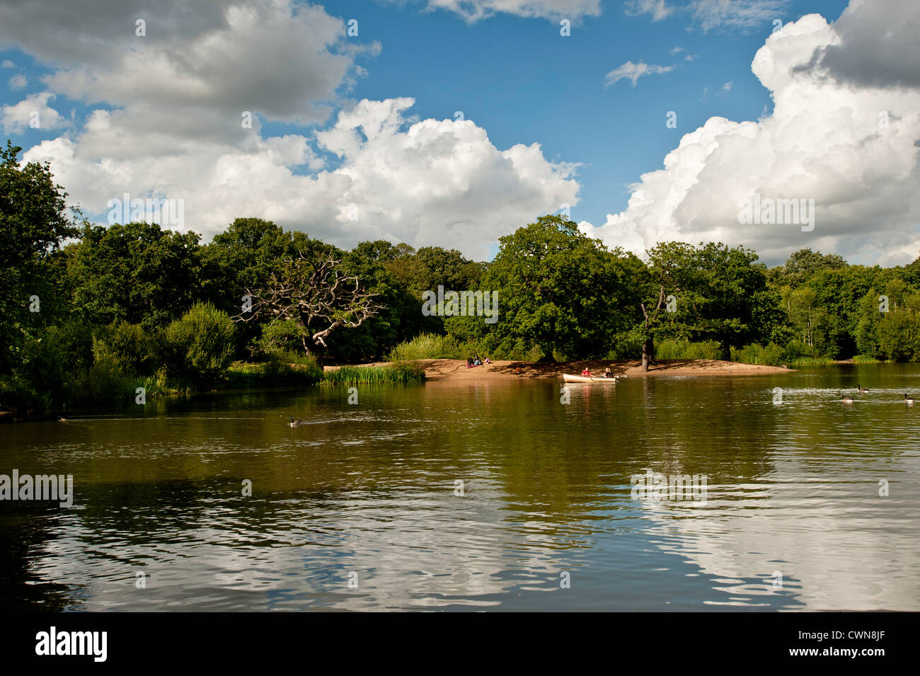Hohle Teich im Epping Forest, East London, Vereinigtes Königreich Stockfoto