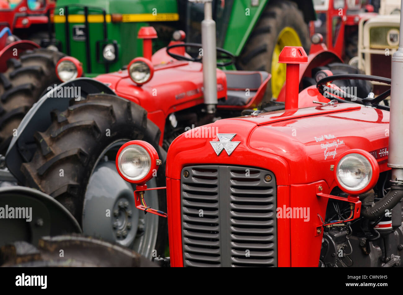 Massey Ferguson MF 35 FE35 Traktor 1955 (USA) 1956 (UK), wurde zu einem der beliebtesten Traktoren jemals veröffentlicht und ist heute noch im Einsatz Stockfoto