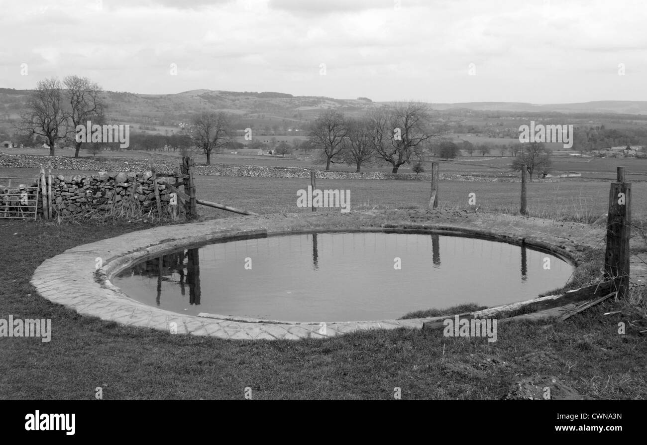 Dewpond in der Nähe von Monsal Dale, Peak District National Park, Derbyshire, England, UK Stockfoto