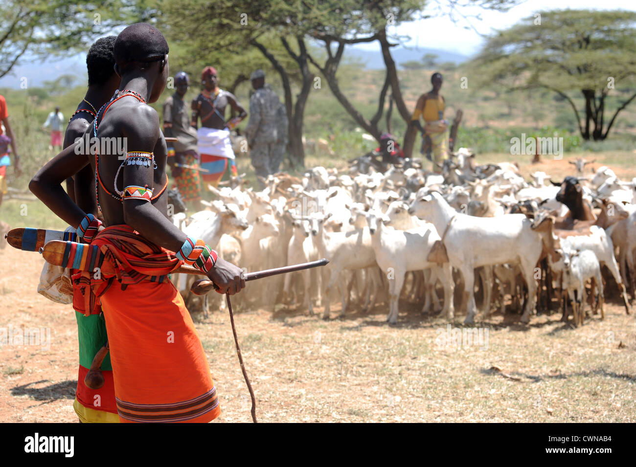 Massai-Krieger wachen über ihre Herde während einer tierärztlichen Klinik Programm 10. August 2012 in Oldonyiro, Kenia. Die VETCAP soll helfen, die Kapazitäten der Gemeinschaft basiert Tiergesundheit Arbeiter, Tiergesundheit sicherzustellen, Landwirtschaft und wirtschaftliche Stabilität zu verbessern und entwickeln Vertrauen mit Partnerstaaten. Stockfoto