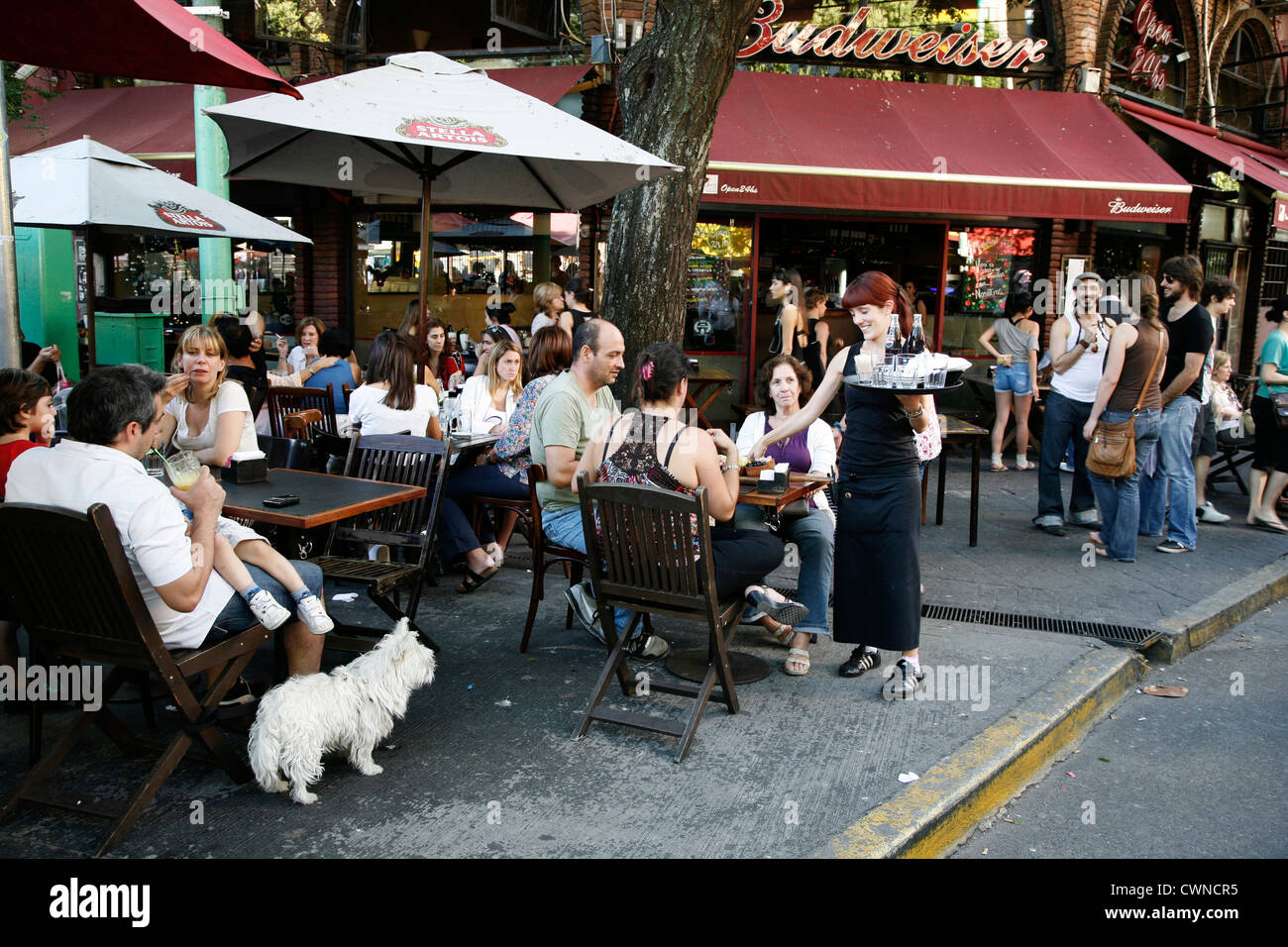Menschen sitzen in einem Café im Freien im Plaza Serrano in Palermo Soho, Buenos Aires, Argentinien. Stockfoto
