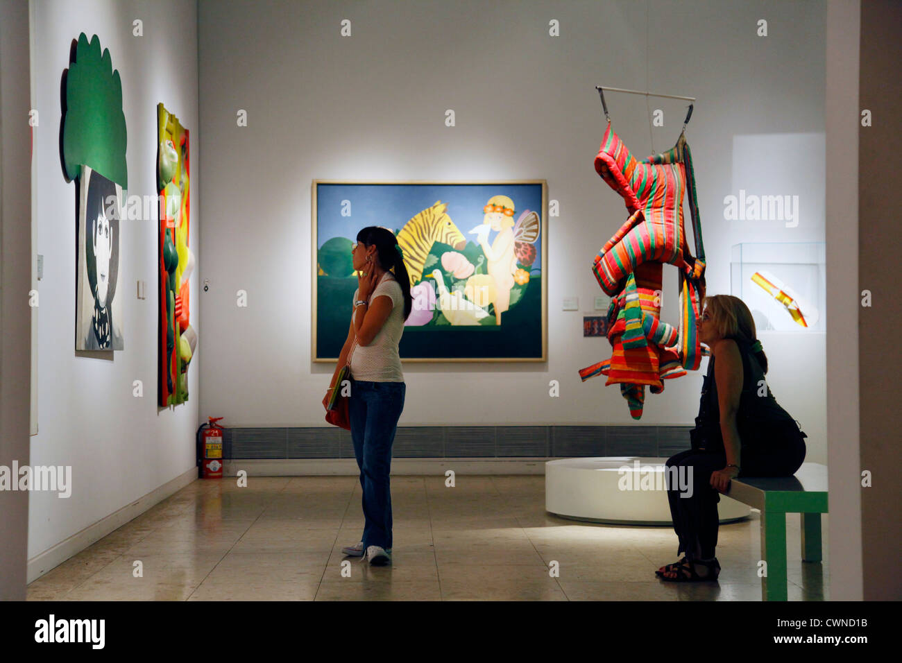 Museo Nacional de Bellas Artes, nationales Museum der bildenden Künste, Recoleta, Buenos Aires, Argentinien. Stockfoto
