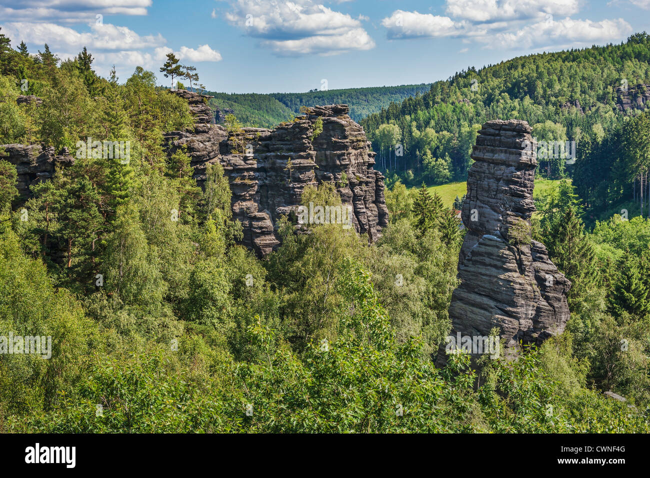 Felsen, Schiefer Turm und Kanzelturm, Rosenthal Bielatal, Sächsische  Schweiz, in der Nähe von Dresden, Sachsen, Deutschland Stockfotografie -  Alamy