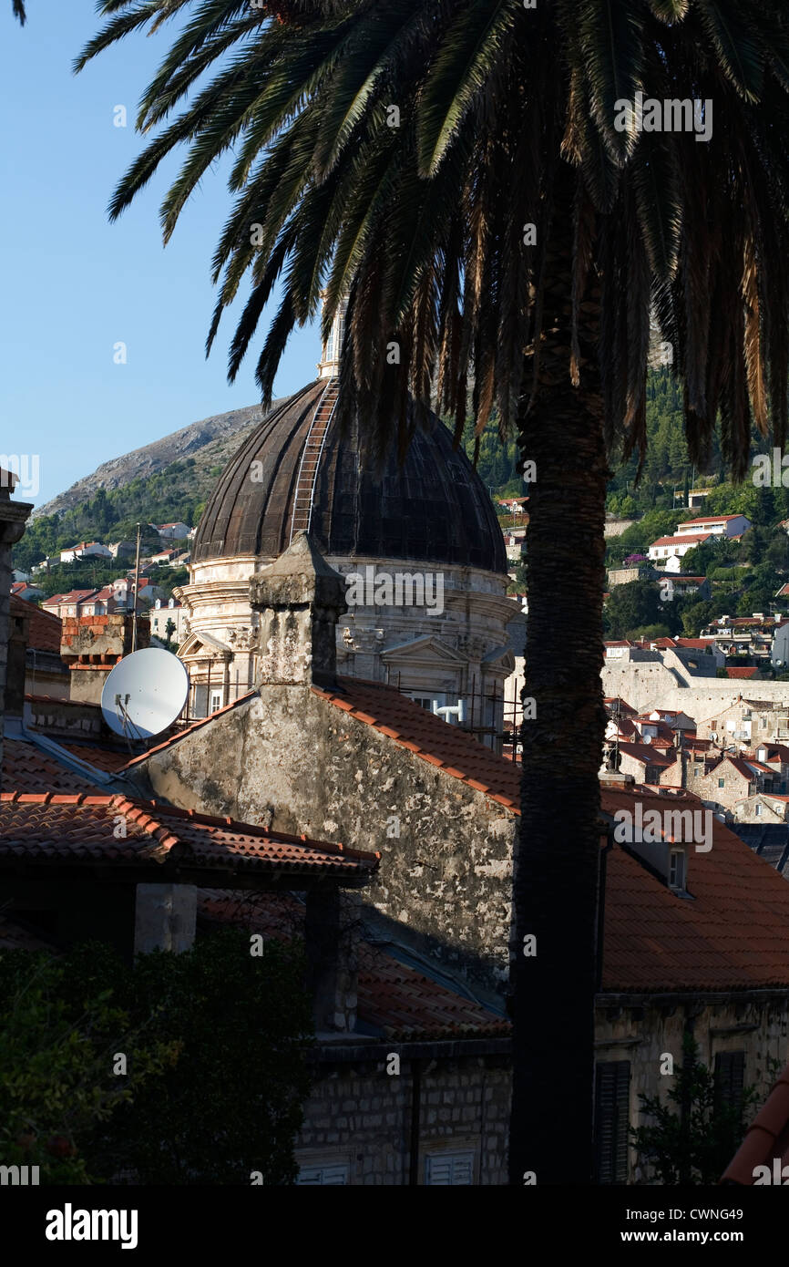 Die Kuppel der Kathedrale Dubrovnik Dalmatien Kroatien Stockfoto