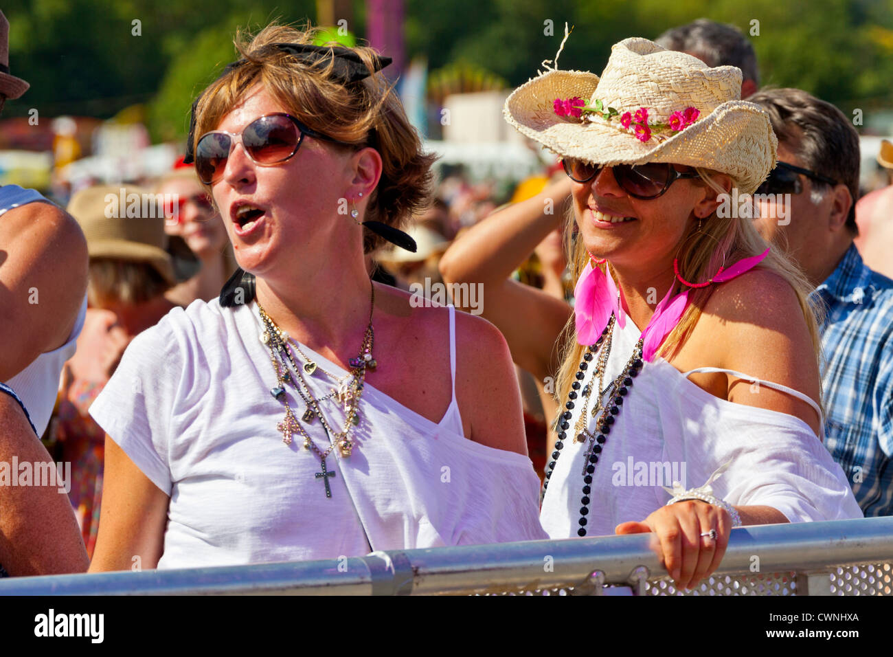 Besucher vor der Bühne auf die Rewind Festival Henley on Thames 2012. JMH6029 Stockfoto