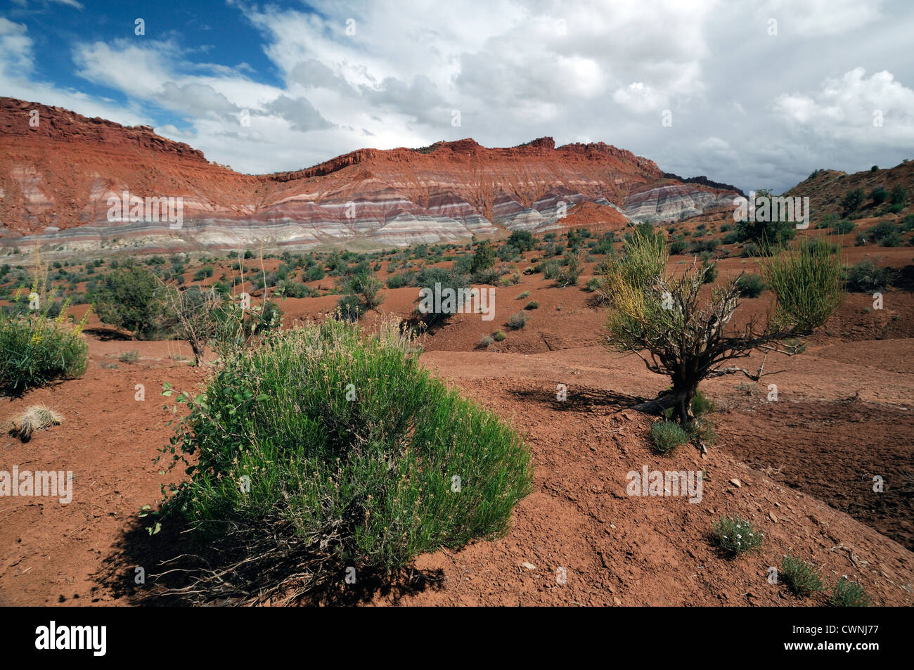 Orange-braun-rot gefärbt farbigen Sandstein Klippen Hügeln entlang der Autobahn 89 Paria Wilderness Utah bunt Stockfoto