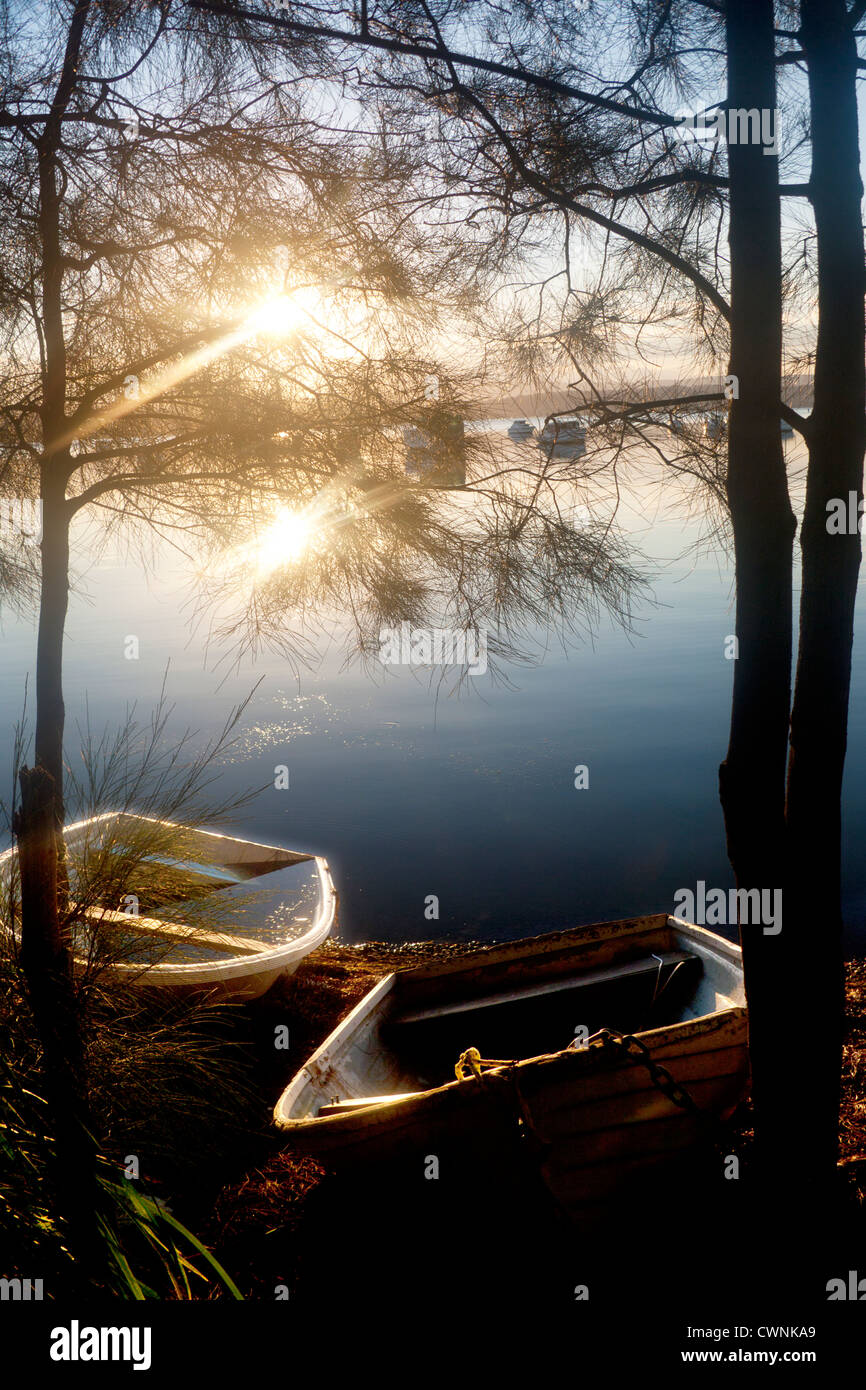 Boote und Bäume am Sonnenuntergang Lake Macquarie New South Wales Australien Stockfoto