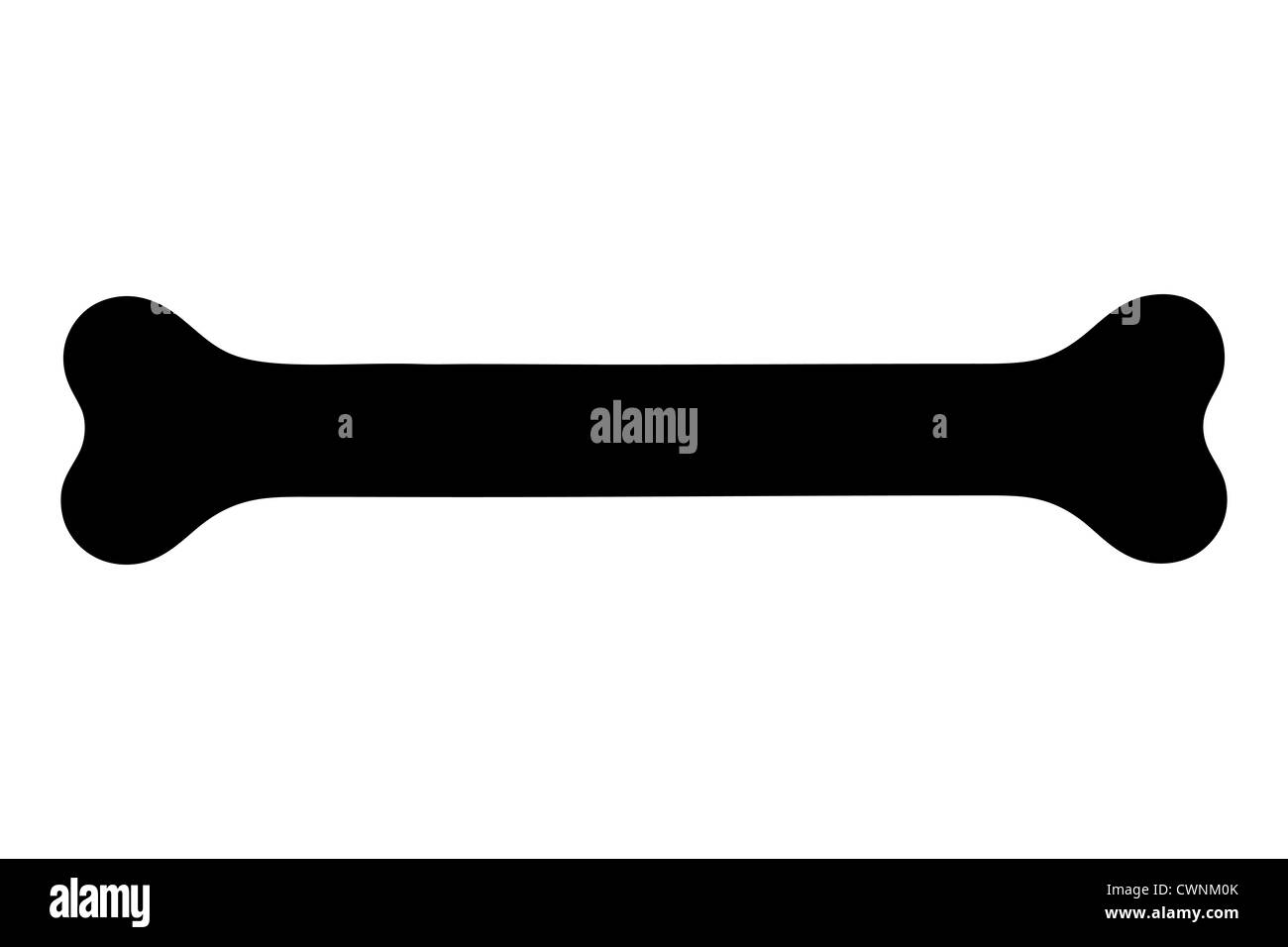 Eine Silhouette eines Modells des Knochens auf weißen Hintergrund isoliert Stockfoto