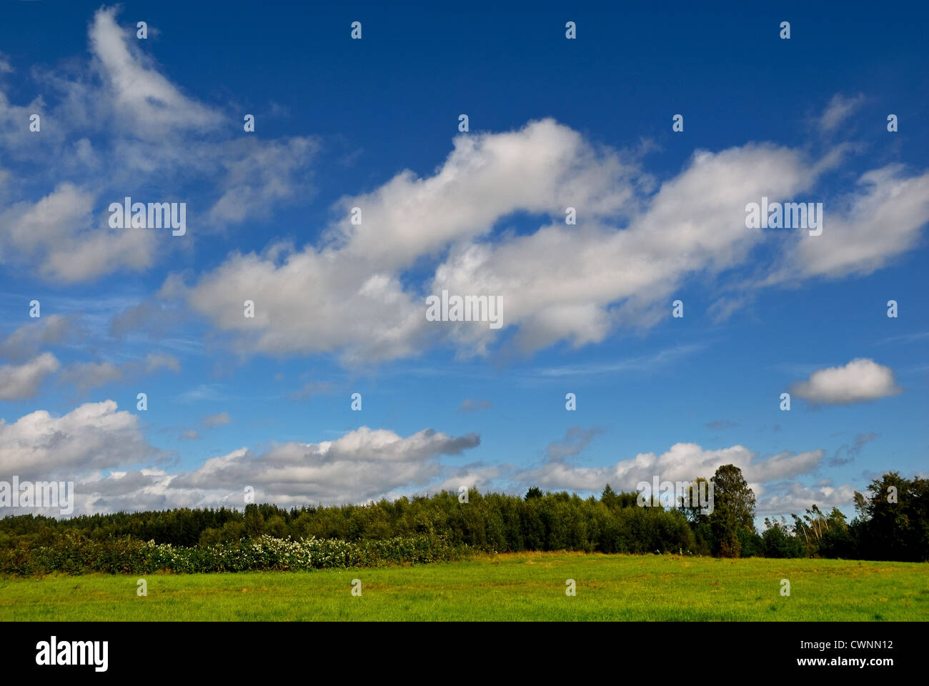 Flauschige Wolken über einer offenen grünen schwedische Landschaft. Stockfoto