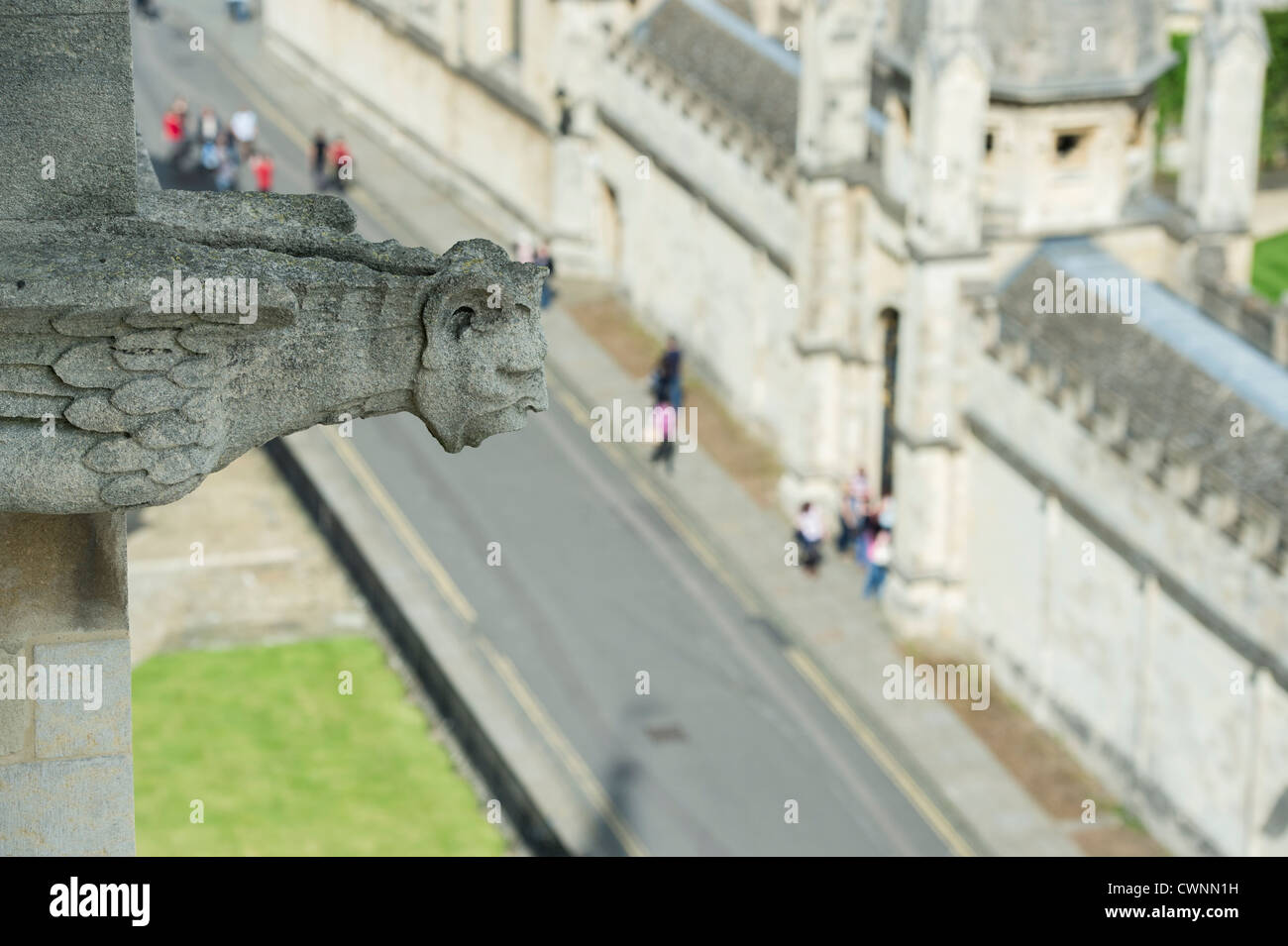Geschnitzten Stein Wasserspeier auf dem Turm von der Universität von St Mary die Jungfrau, Oxford, England Stockfoto