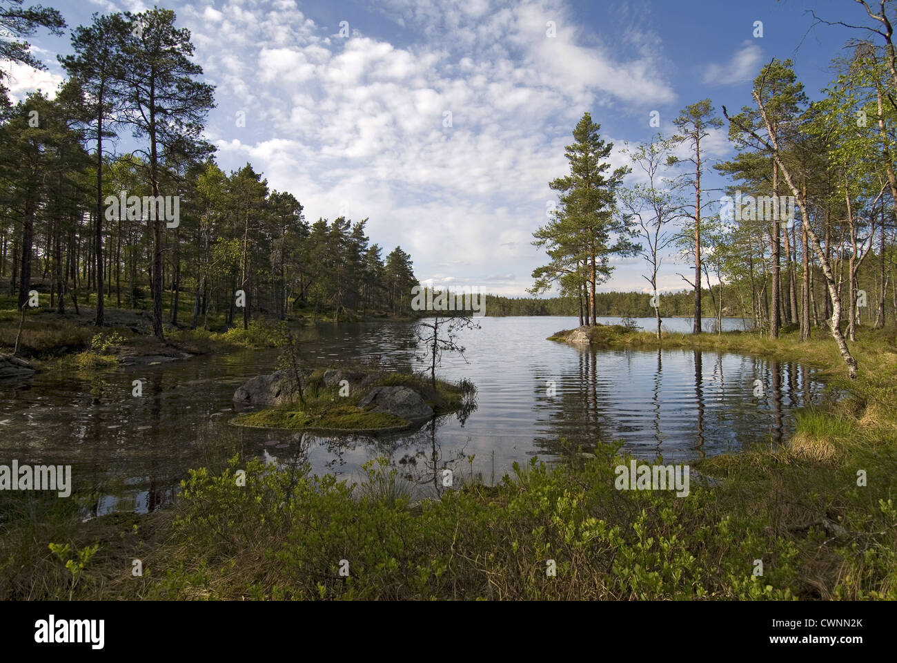Der Tresticklan Nationalpark gehört zu Schwedens neueste Nationalparks in Schweden. Dies ist einer der Seen: Stora Abborrtjärn. Stockfoto