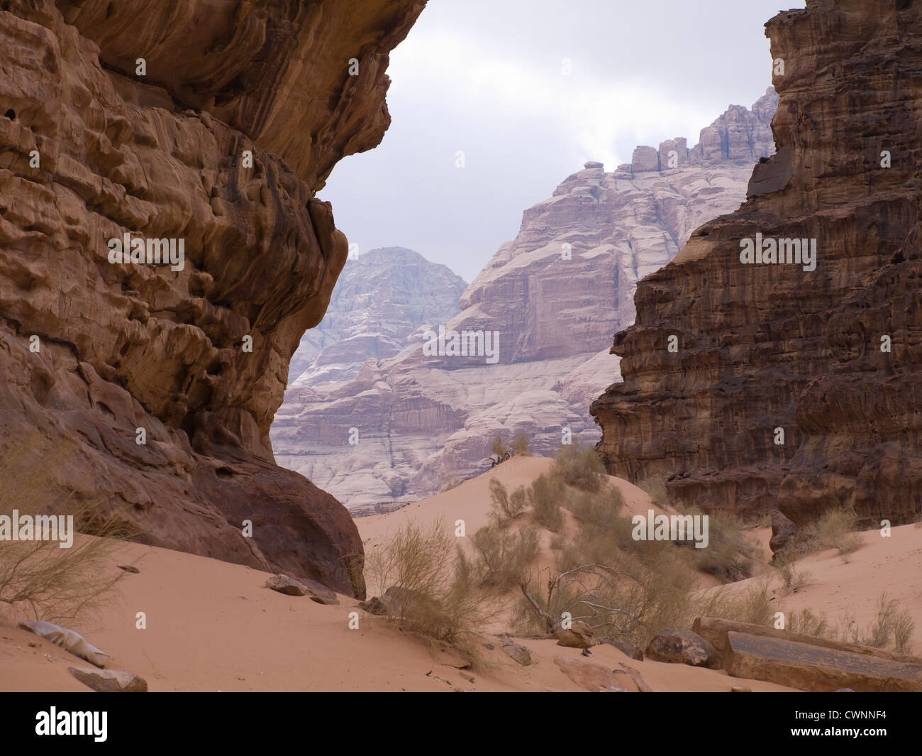 Canyon in der Wüste Wadi Rum in Jordanien zeigen interessante Farben und Mustern Stockfoto