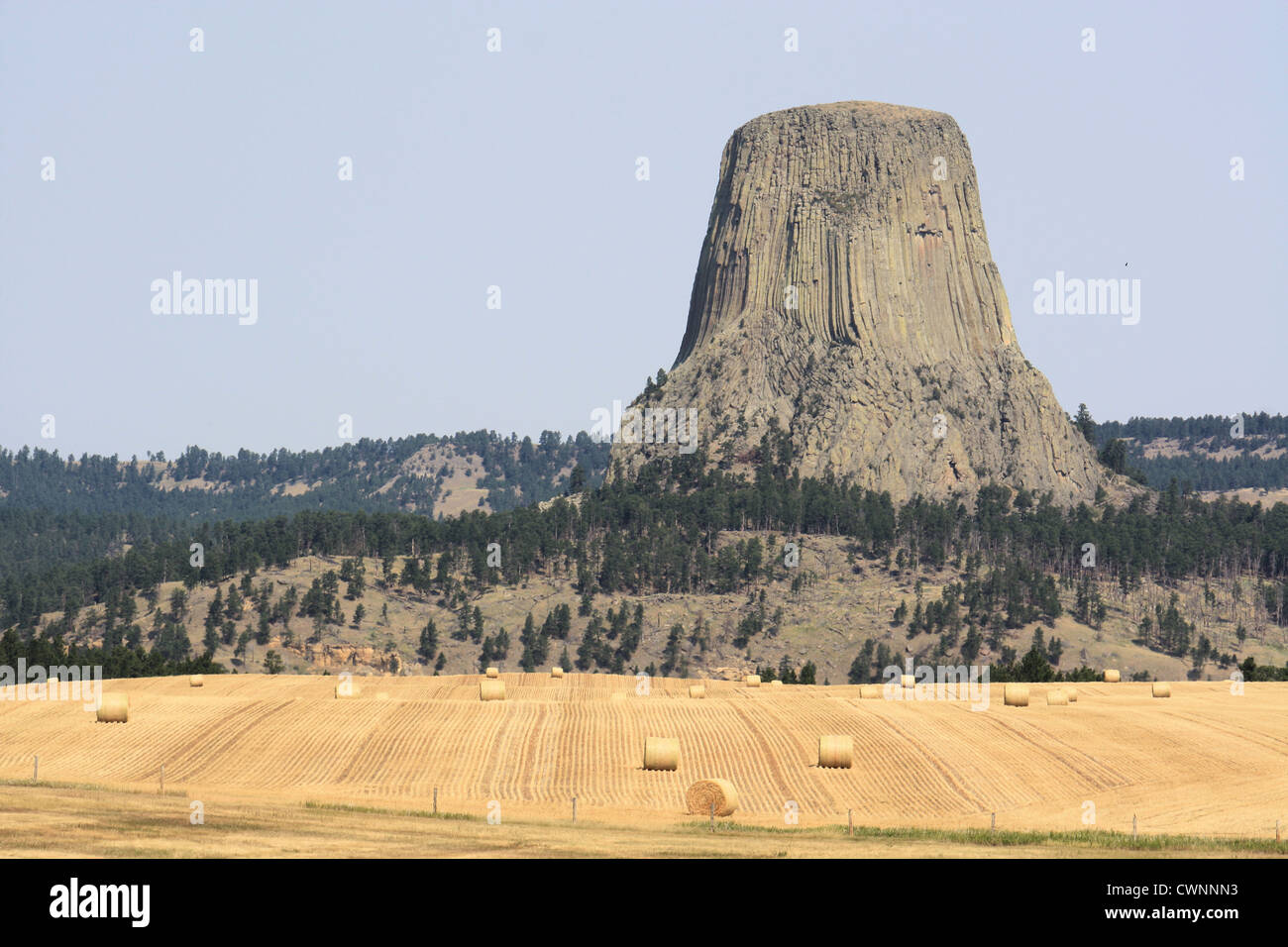 Devils Tower Nationalmonument, Crook County, Wyoming, USA Stockfoto