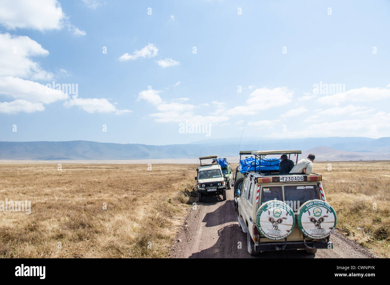 NGORONGORO-KRATER, Tansania – Safari-Fahrzeuge hielten an, um Wildtiere am Ngorongoro-Krater im Ngorongoro-Naturschutzgebiet zu beobachten, Teil des nördlichen Rundkreises von Nationalparks und Naturschutzgebieten Tansanias. Stockfoto