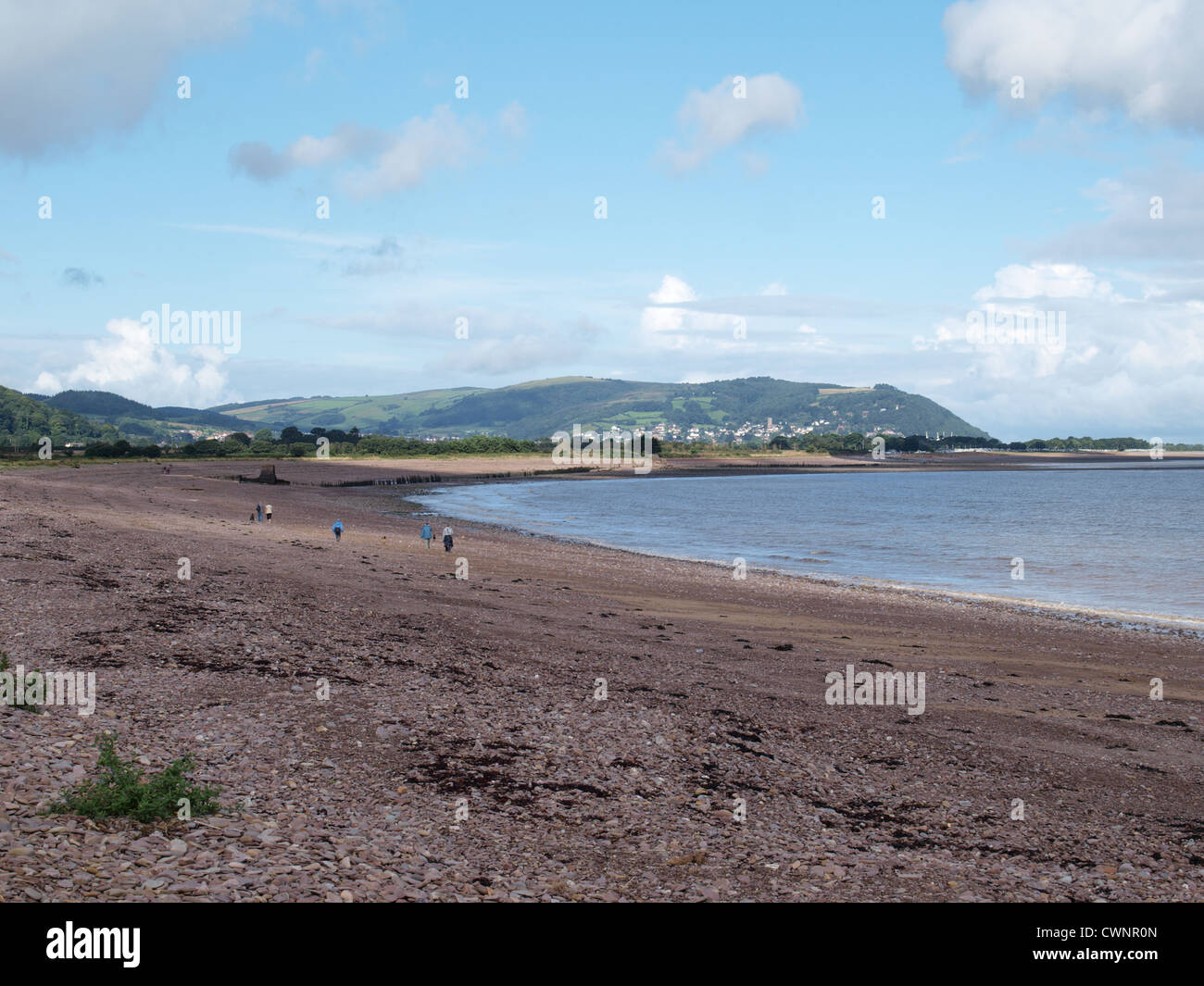 Dogwalker am Strand am blauen Anker mit Minehead in Ferne. Somerset Stockfoto