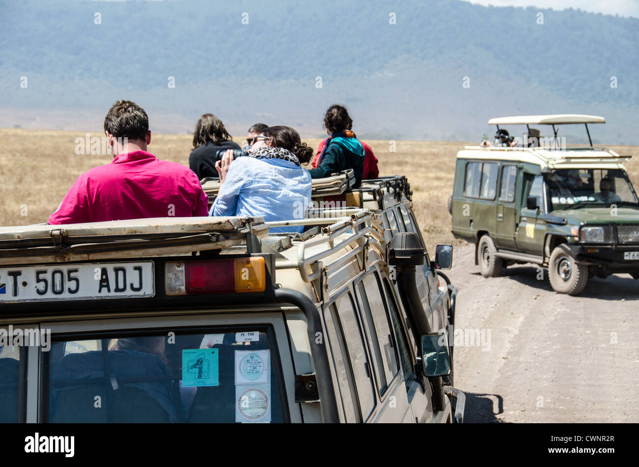 NGORONGORO-KRATER, Tansania – zwei verschiedene Arten von offenen Safaris, von denen eine Schatten spendet, während die andere nicht, am Ngorongoro-Krater im Ngorongoro-Schutzgebiet, Teil des nördlichen Tansania-Rundkreises von Nationalparks und Naturschutzgebieten. Stockfoto