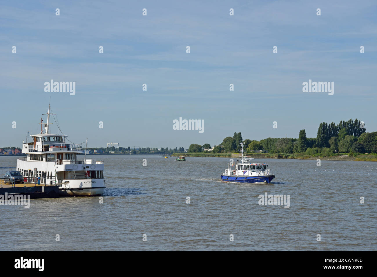 Boote auf der Schelde, die flämische Region, Belgien, Provinz Antwerpen, Antwerpen Stockfoto
